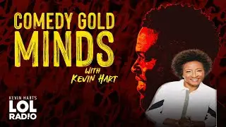 [HOT] Comedy Gold Minds - Wanda Sykes