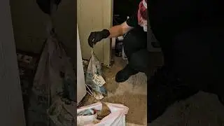 Huge cleaning - Rotten food and Bugs everywhere!