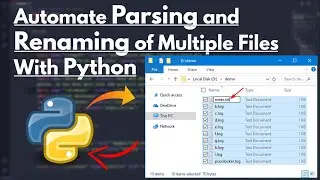 Python Project | Automate Renaming and Parsing of Multiple Files With Python | Python Automation