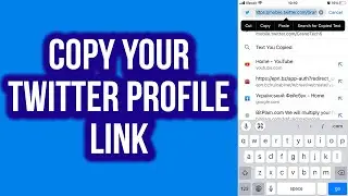 How To Copy Your Twitter Profile Link (iPhone/IOS Or Android Devices)