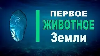 Первое животное Земли