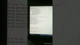 Indian flag using python turtle. #shorts #python