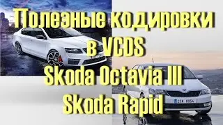 Лучший Сборник кодировок для Skoda Octavia III, Rapid в VCDS Вася Диагност