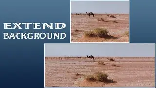 How to extend background in Adobe Photoshop Elements