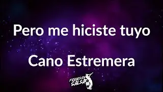 Pero me hiciste tuyo letra 🥵🔥 | Cano estremera | Frases en Salsa