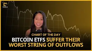 Bitcoin ETFs Bled $1.2B of Outflows in Longest Streak of Outflows | Chart of the Day