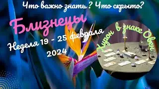 БЛИЗНЕЦЫ♊НЕДЕЛЯ 19 - 25 ФЕВРАЛЯ 2024🌈ЧТО ВАЖНО ЗНАТЬ? ЧТО СКРЫТО?✔️ГОРОСКОП ТАРО Ispirazione