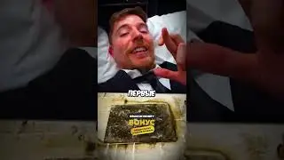 Куда MrBeast КАКАЛ в Гробу?