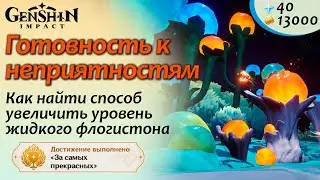 Готовность к неприятностям - скрытый квест | Листочек с зелеными краями | Натлан 5.0 