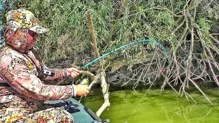 ПОПАЛ НА ОСЕННИЙ ЖОР! ВОТ ЭТО РЫБАЛКА!!! Рыбалка на донки.