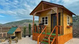 How to Build a Wooden House in 10 Days - Off Grid Log Cabin