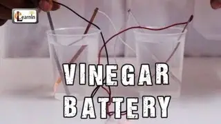 How to make a Vinegar Battery | Homemade Vinegar Battery | Science Experiment for School Kids