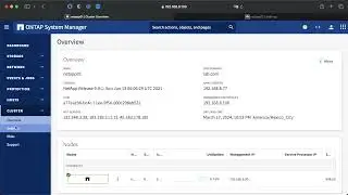 NetApp SnapMirror Initial Setup Configuration