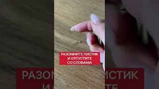 Как получить деньги быстро | Белая магия 