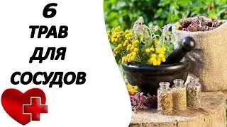 6 полезных трав для здоровья ваших сосудов