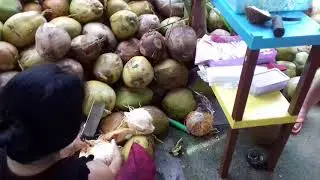 Кокосовая ферма. О. Самуи Тайланд