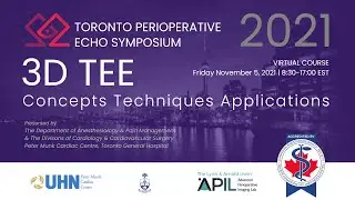6 - Prof. Annette Vegas - 3D TEE Acquisition: Mitral Valve