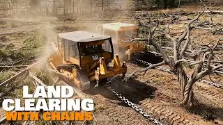 Why Farmers Clear Land with Bulldozers & Chains