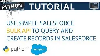 Use Simple Salesforce Bulk API to Query and Create Records in Python | Python Tutorial