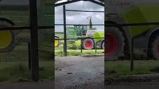 Chopping grass for silage 