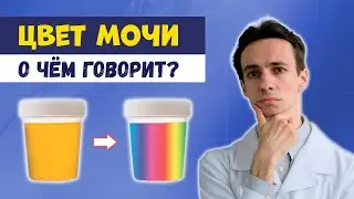 8 цветов мочи 🌈: о чём говорят изменения?