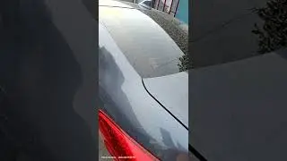 smog's effect