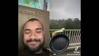 Egg Eclipse TikTok Duet 4/8/2024