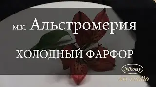 Альстромерия . Alstromeria.