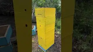 Красим улья! Наводим красоту на пасеке! 