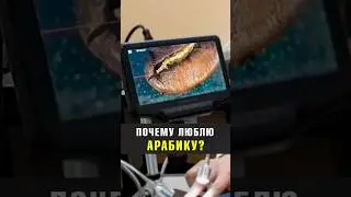 Вы любите арабику?