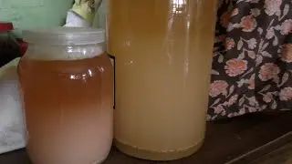 Важные моменты при снятии вина с осадка. Необходимость полной тары после снятия