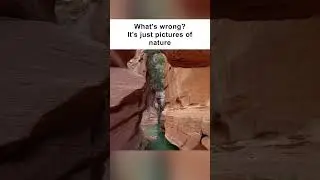 What's wrong? It's just pictures of nature (TF2 meme)