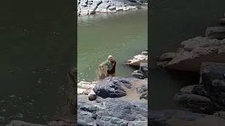 mahigiri fishing lorestan #fishing #baliq #fish #nature #cneᴅɪᴛᴢ