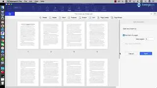 How to Split PDF on Mac ?