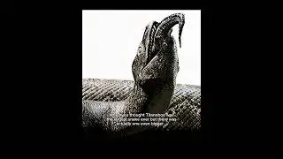 Titanoboa wasn’t the longest snake… 
