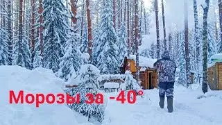 Похолодало! Идём к ИЗБЕ в мороз за -40°. Человек ко всему привыкает. Обмороженный на голову!