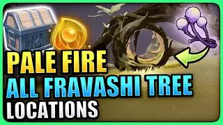 ALL Fravashi Tree Locations | Pale Fire World Quest | The Residual Pari Genshin Impact Sumeru 3.6