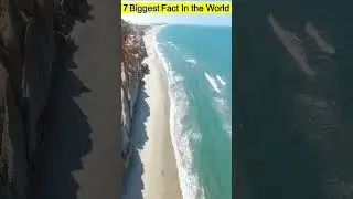 7 biggest Fact in the world | 