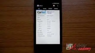 Xiaomi Redmi 1S CPU Z Benchmark Test