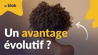 Pourquoi a-t-on les cheveux frisés ?