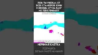 КОГДА ВЫНОСИШЬ ЛУТ НА БАЗУ / Stalcraft / МЕМ 