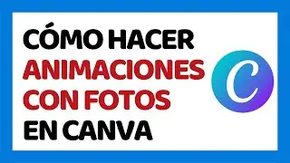 How to Make Animation Photo in Canva