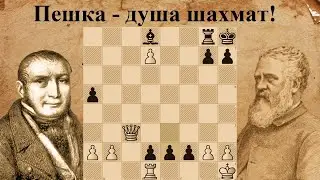 Легендарная партия! ♟ Мак-Доннелл - Лабурдонне ♟ Лондон 1834 ♟ Шахматы