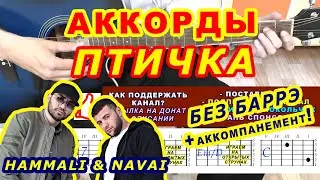 ПТИЧКА  Аккорды 🎸 HammAli & Navai ♪ Разбор песни на гитаре ♫ Гитарный аккомпанемент для начинающих