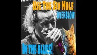 Overblows in Blues. Part 1 (Six Hole)