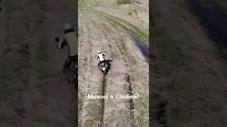 Когда на одной волне 👌#мотопутешествия #mototravel #мото #мотосезон2024 #triumphscrambler #moto