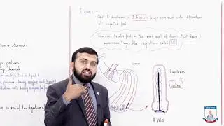 Class 9 - Biology - Chapter 8 - Lecture 15 - Small Intestine, Large Intestine - Allied Schools