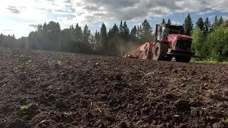Пришло время сеять ОЗИМЫЕ на это  раз ПШЕНИЦА