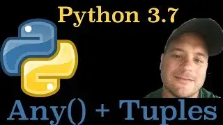 Python 3.7: How To Use The Any() Function On A Tuple In Python