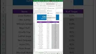 How to make a heatmap in Excel! #exceltips #tutorial